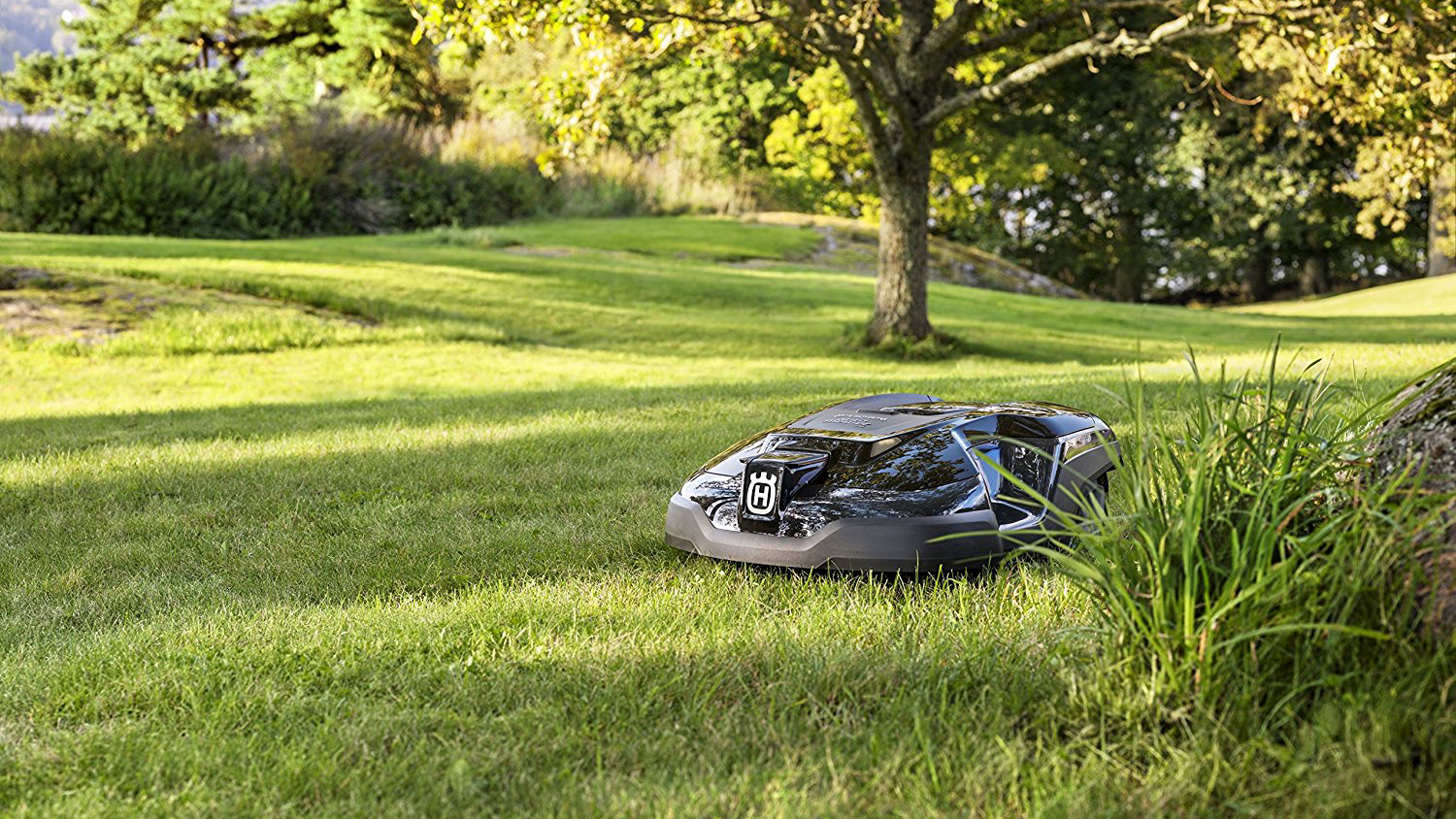 4 Heavy Duty Robotic Lawn Mowers for your lawn in 2022.